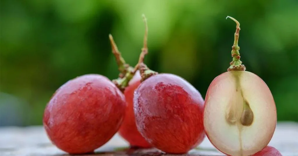Is It Ok to Eat Grape Seeds? – 5 Health Benefits