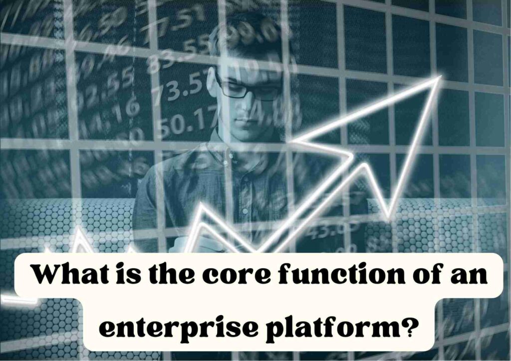 What is the core function of an enterprise platform?