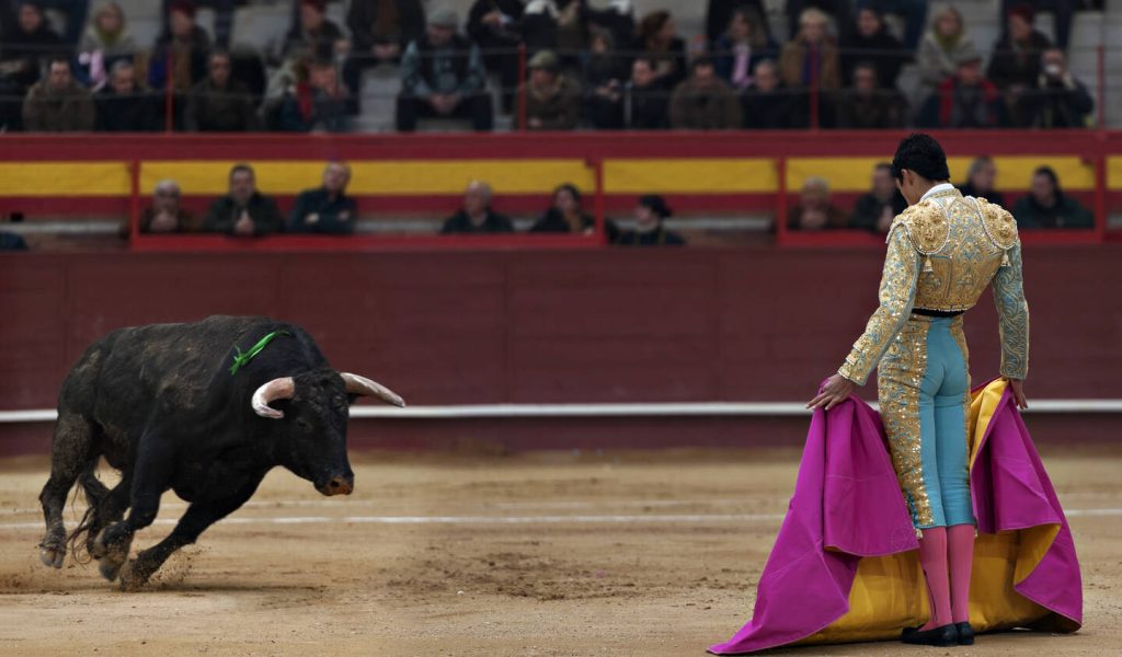 Why is Bullfighting Controversial